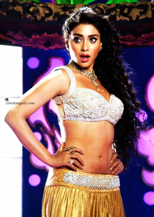 Shriya Saran 27 (1)